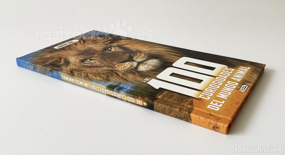 Libros: Lote 4 libros + de 100 curiosidades &ndash; Ediciones Salda&ntilde;a - Foto 9