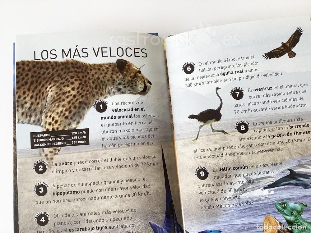 Libros: Lote 4 libros + de 100 curiosidades &ndash; Ediciones Salda&ntilde;a - Foto 11