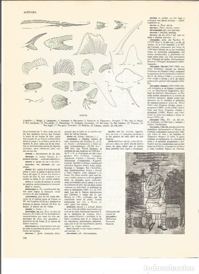 Livros em segunda m&atilde;o: LAMINA V00898: Ilustracion del Libro de Alexandre - VVAA