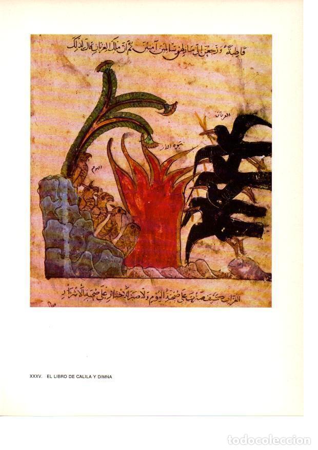 books: LAMINA 27880: El Libro de Calila y Dimna - Raymonde de Gans