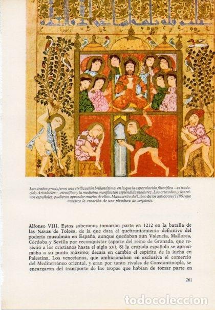 B&uuml;cher: LAMINA V15447: Manuscrito del Libro de los antidotos 1199 - Varios