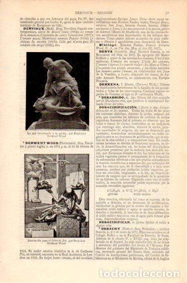 Libri di seconda mano: LAMINA V27406: Ilustracion para el Libro de Job por F. Derwent Wood - Varios