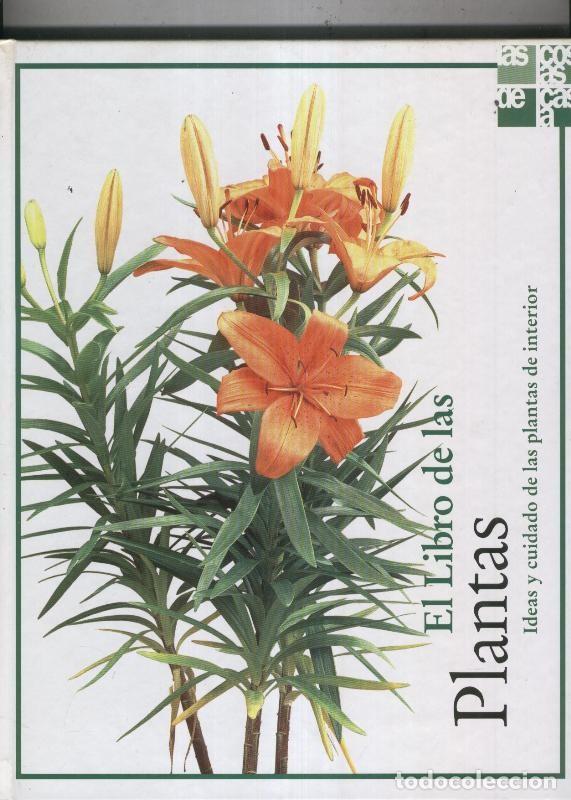 B&uuml;cher: El libro de las plantas - Laura Manzanera-Felisa Vaquero-Lluis Echevarria