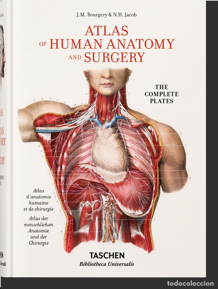 Libros: BOURGERY ATLAS ANATOM (AL/FR/IN) - AA,VV, - Foto 1