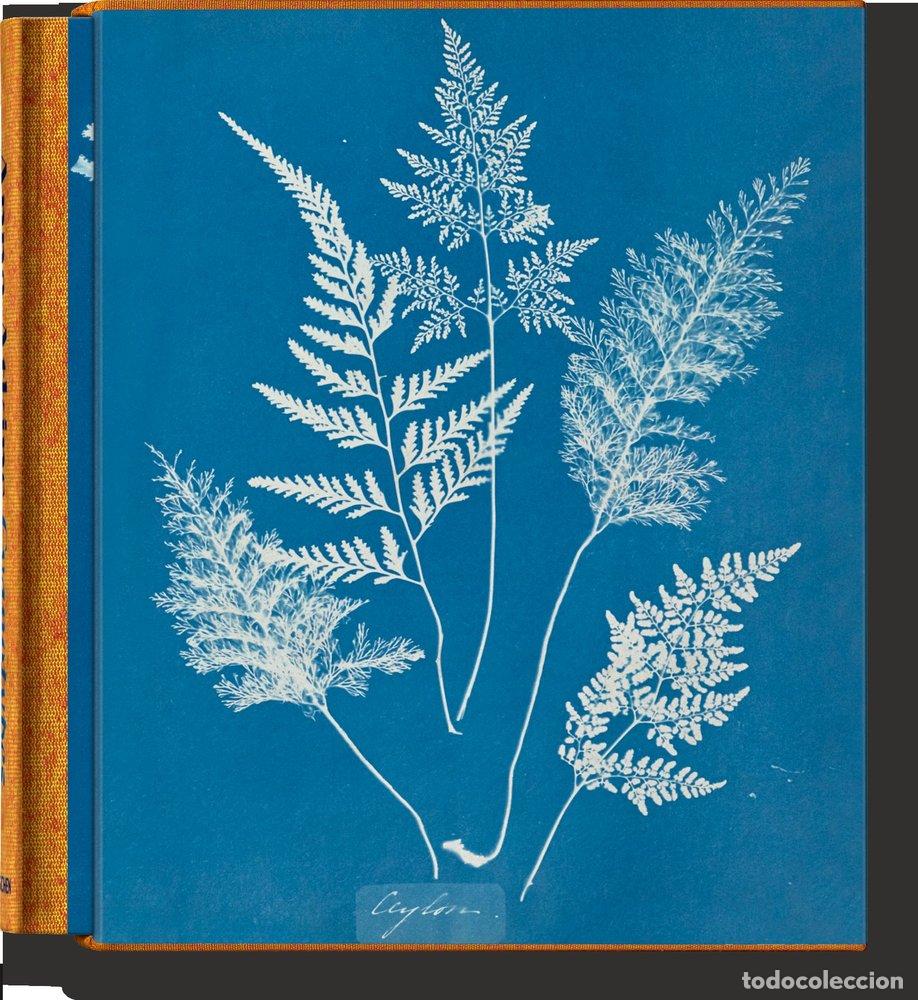Libros: ANNA ATKINS CYANOTYPES (FFE) - WALTHER,PETER - Foto 1