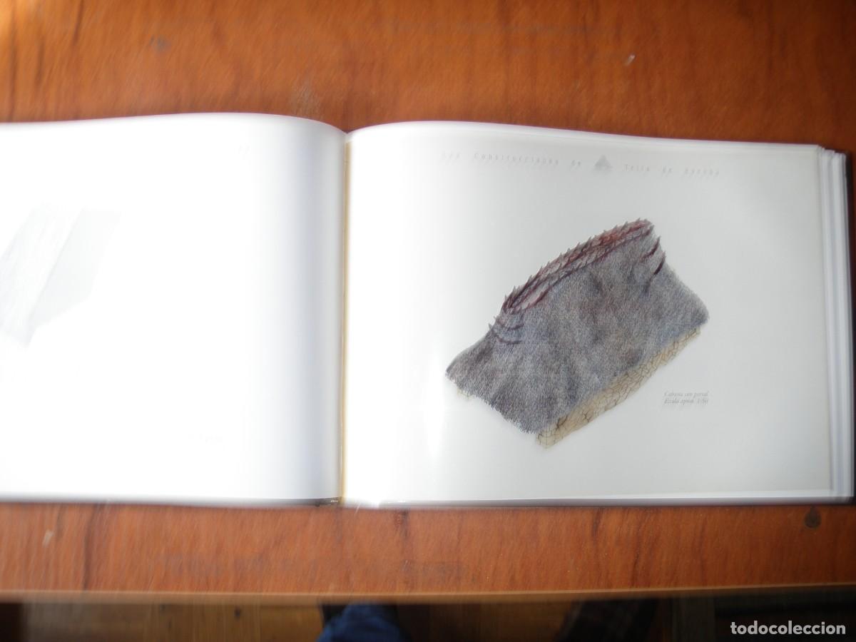 Libros: EL TEITO DE ESCOBA EN SOMIEDO - Foto 7