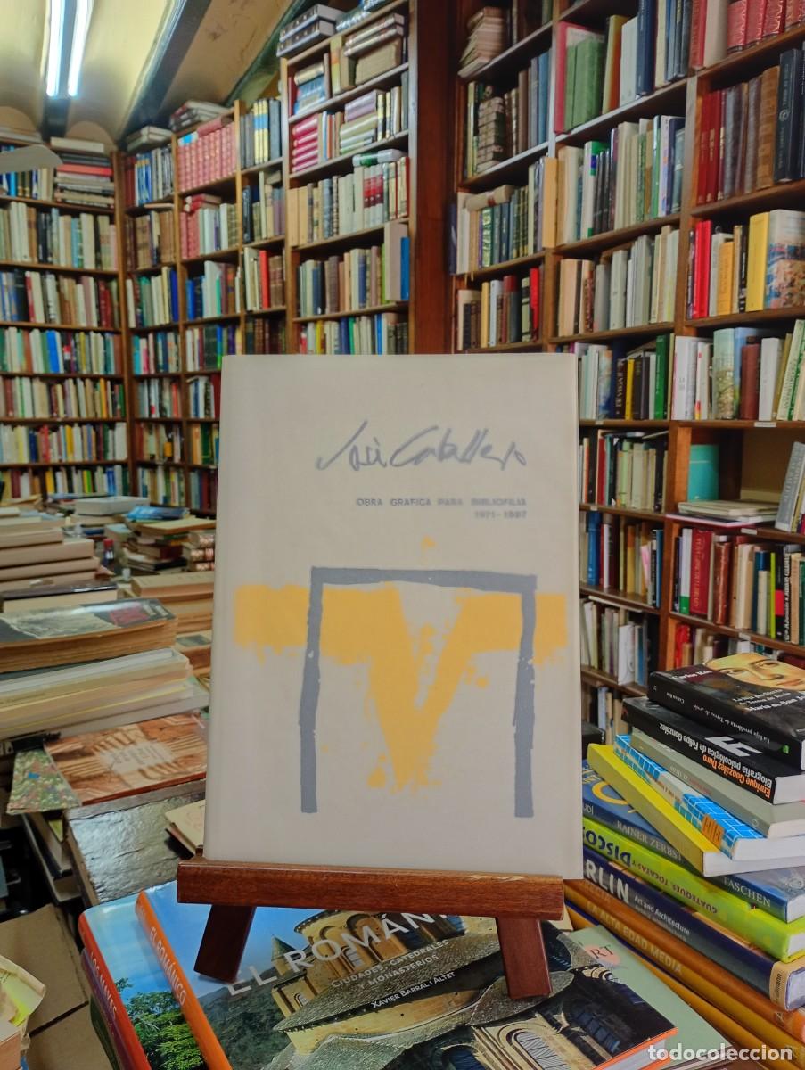 Libros: Jos&eacute; Caballero pinturas, poemas de Pablo Neruda, Jos&eacute; Bergam&iacute;n, Abelardo Rodr&iacute;guez y Gerardo Diego -