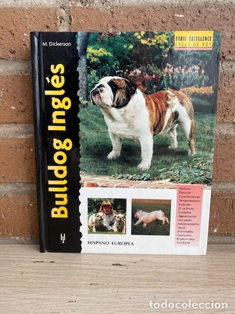 Livros em segunda m&atilde;o: BULDOG INGL&Eacute;S