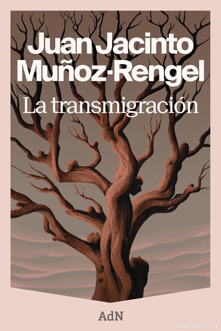 Libros: La transmigraci&oacute;n - Mu&ntilde;oz-Rengel, Juan Jacinto - Foto 1