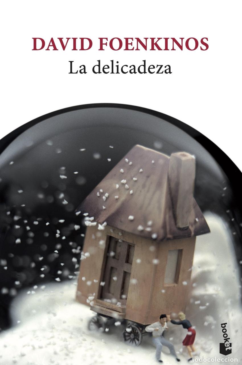 Libros: La delicadeza - Foenkinos, David - Foto 1