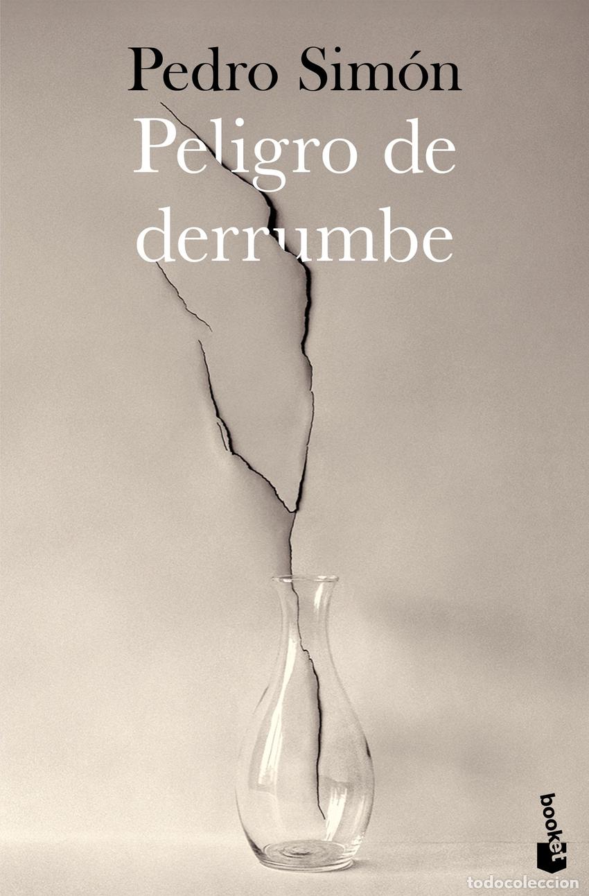 Libros: Peligro de derrumbe - Pedro Sim&oacute;n - Foto 1
