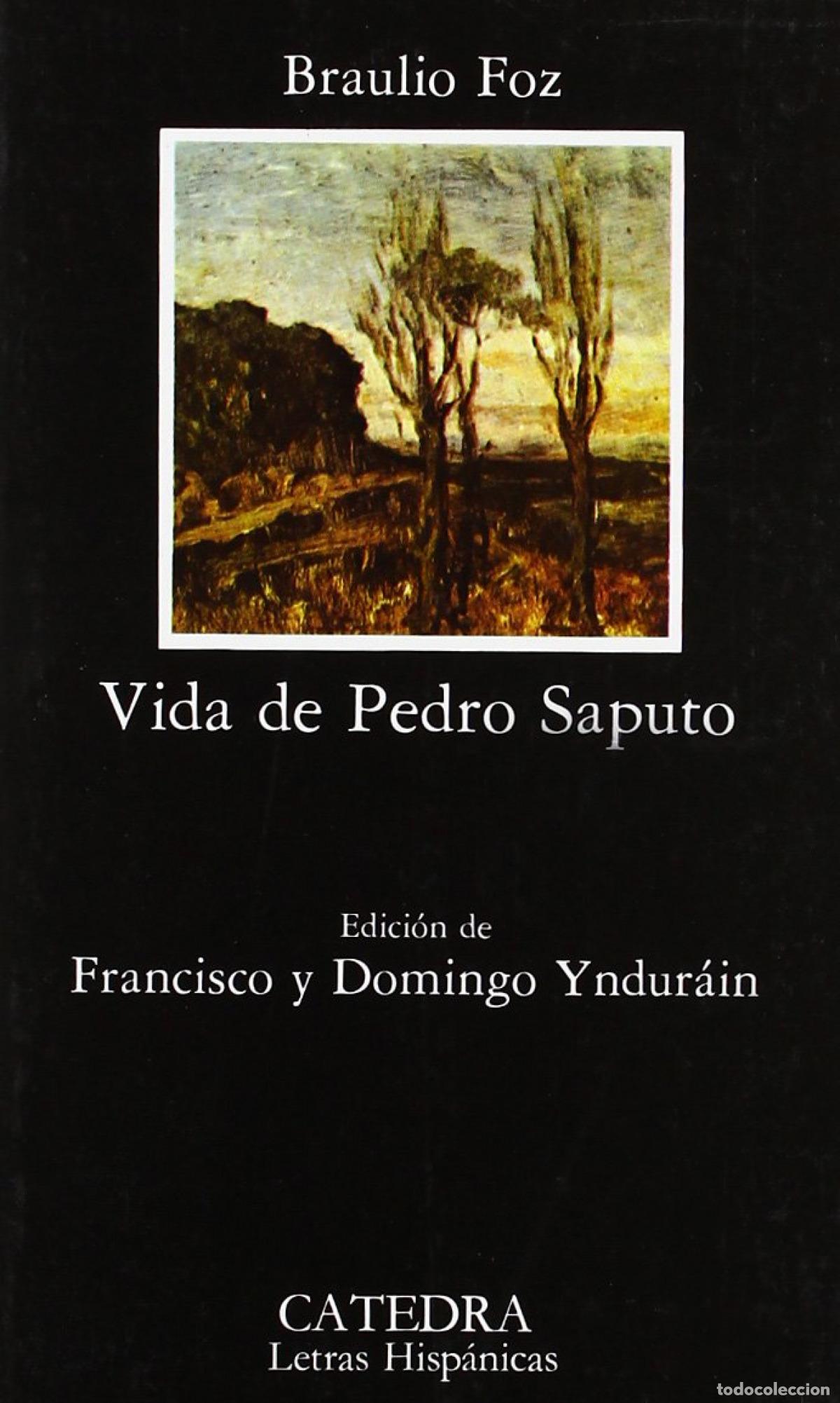 Libros: Vida de Pedro Saputo - Foz, Braulio - Foto 1