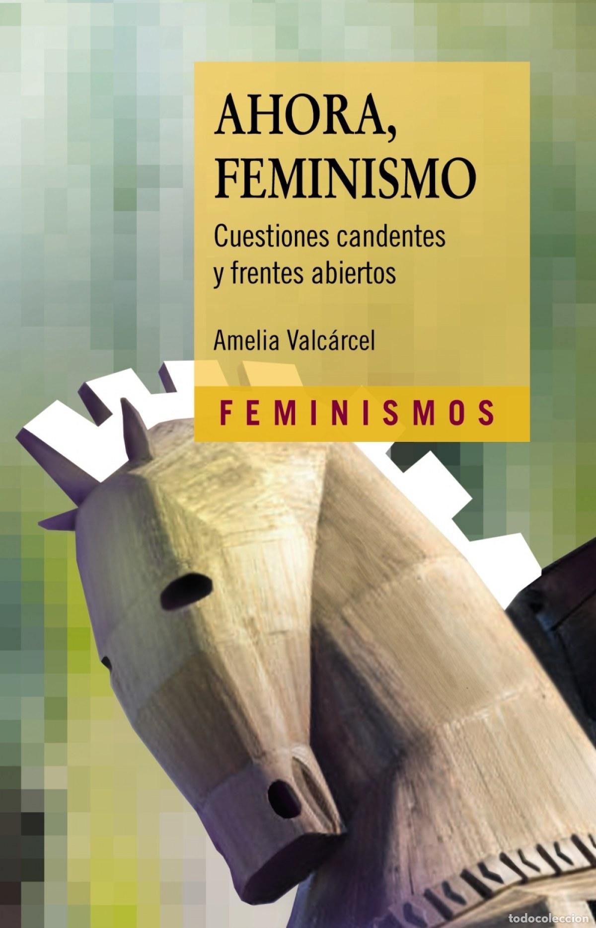Libros: AHORA, FEMINISMO - Valc&aacute;rcel, Amelia - Foto 1