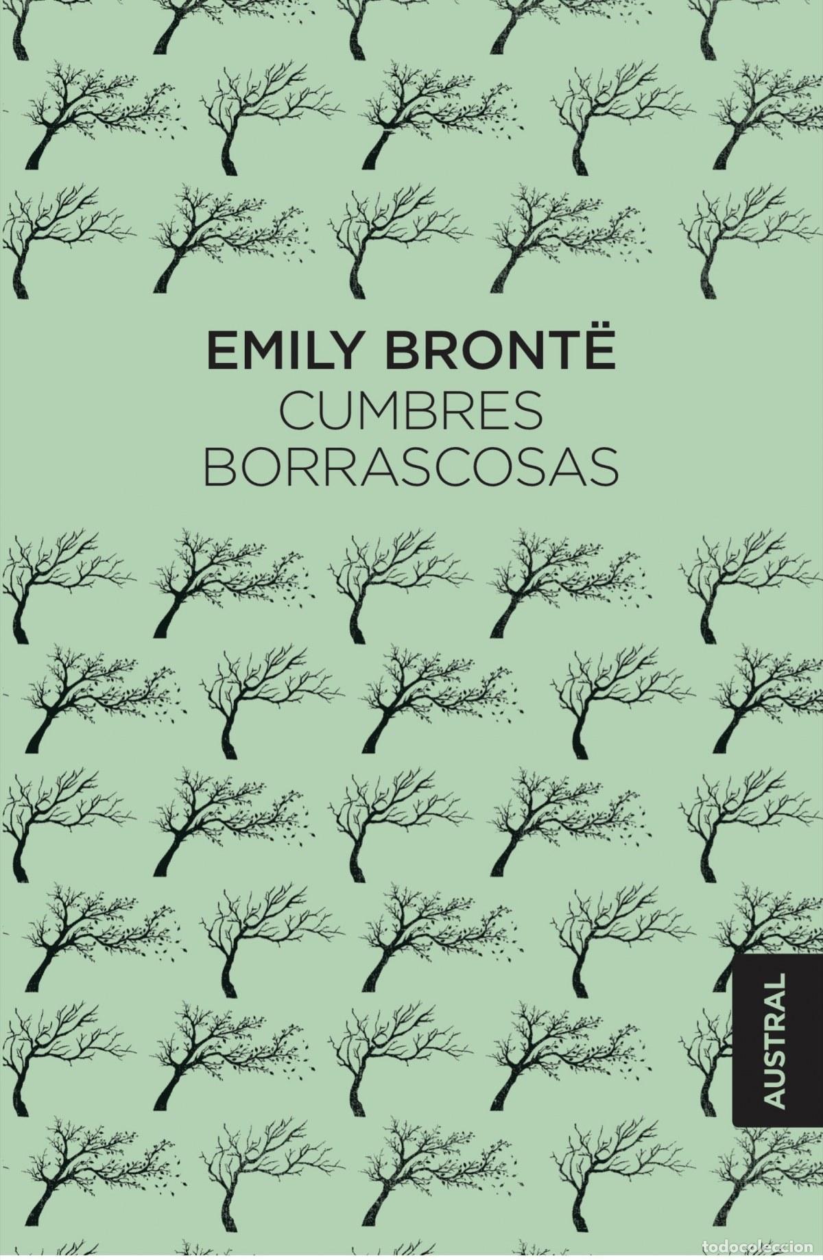 Libros: CUMBRES BORRASCOSAS - Bronte, Emily - Foto 1
