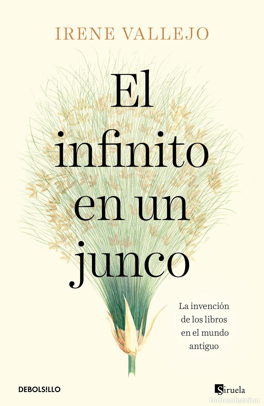 Libros: El infinito en un junco - Vallejo, Irene - Foto 1