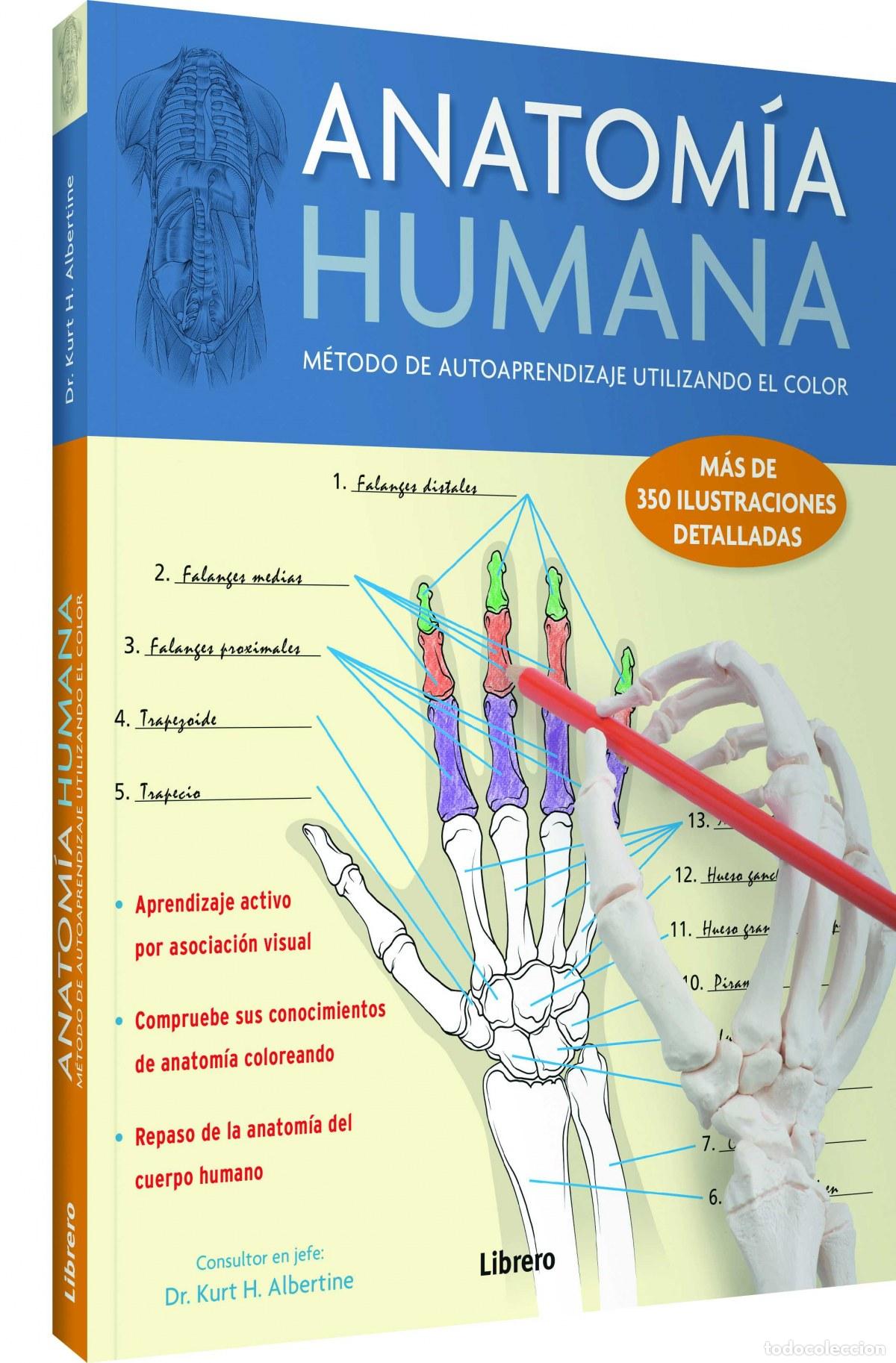 Libros: ANATOM&Iacute;A HUMANA - Dr. Kurt H. Albertine - Foto 1