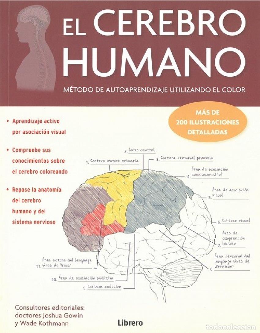 Libros: EL CEREBRO HUMANO - VV.AA. - Foto 1
