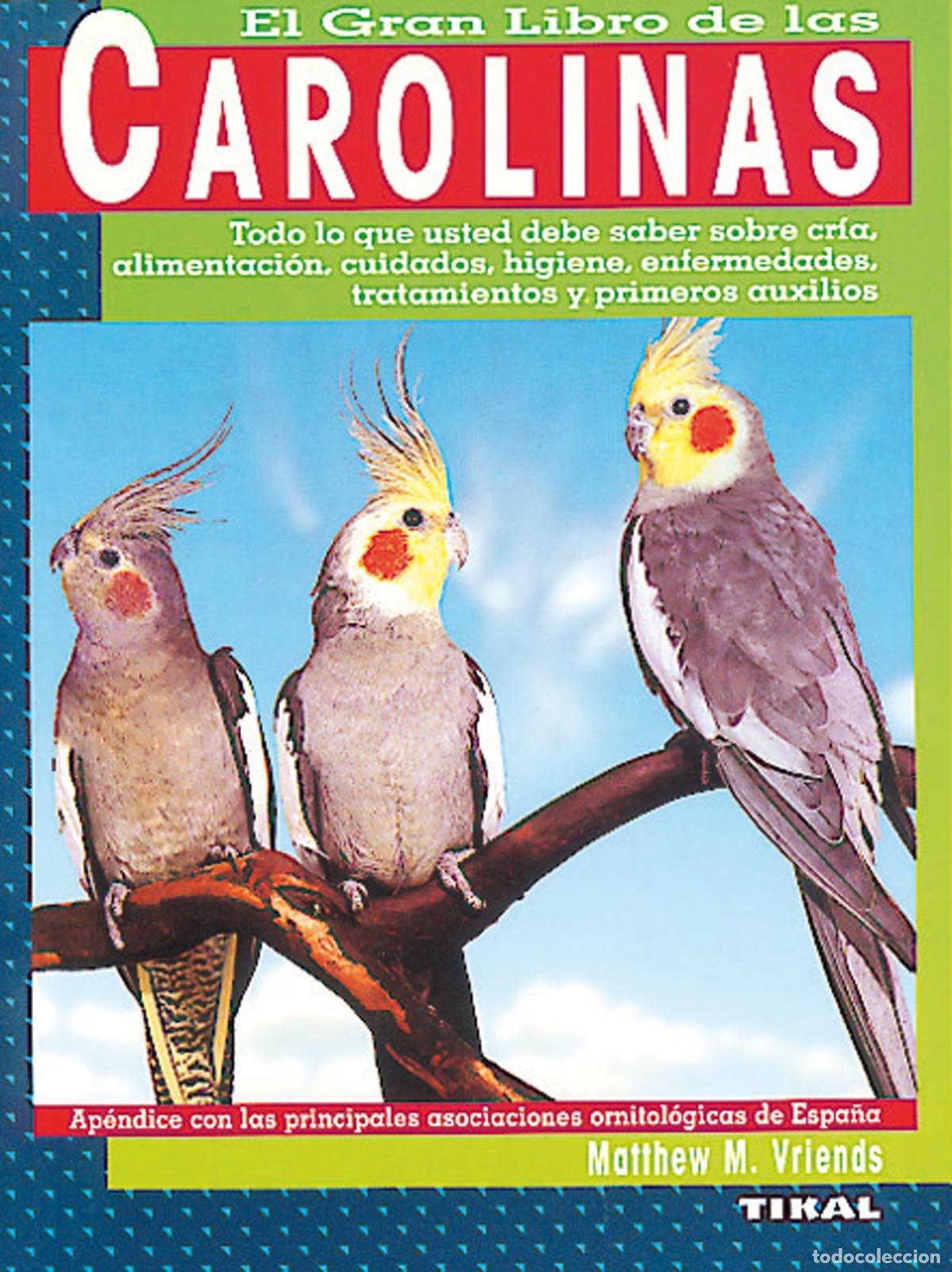 Libros: Carolinas - Vriends, Matthew M. - Foto 1