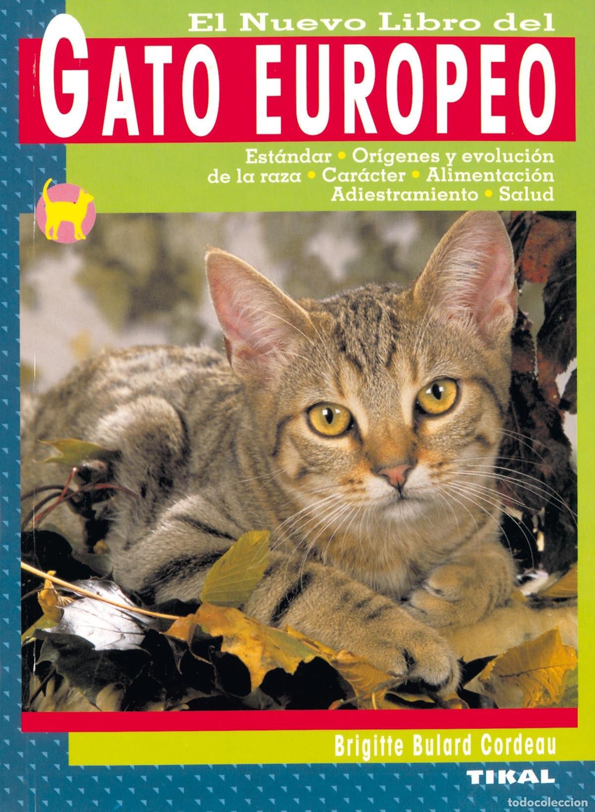 Libros: Gato europeo - VV.AA. - Foto 1