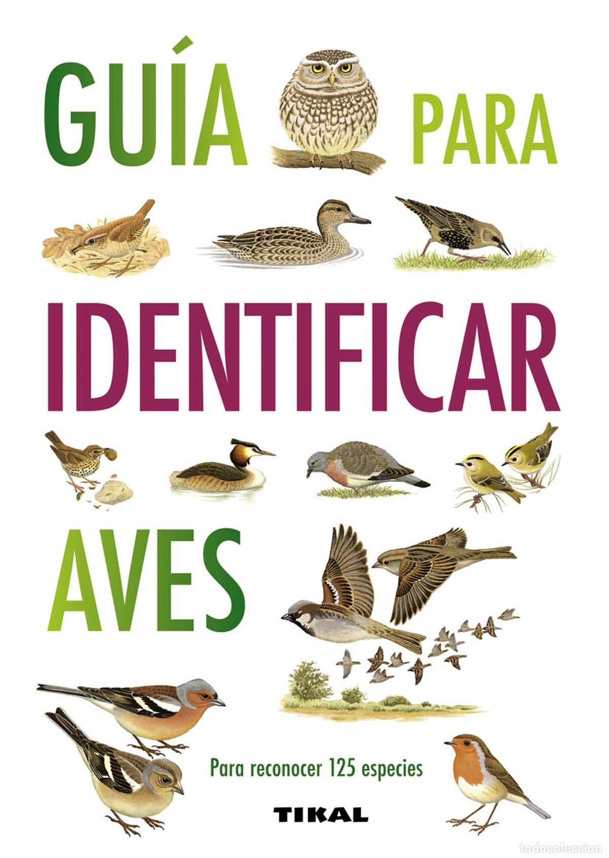 Libros: Gu&iacute;a para identificar aves - Hammond, Nicholas - Foto 1