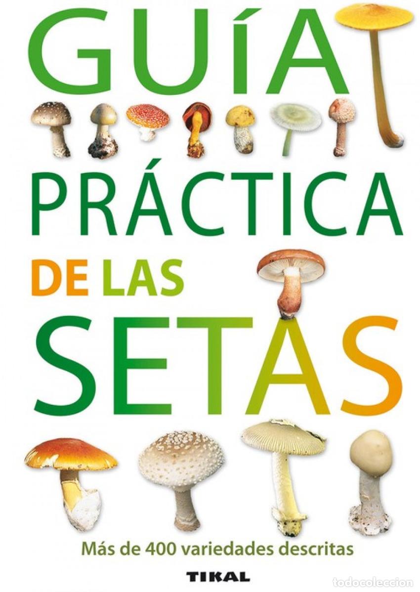 Libros: Gu&iacute;a pr&aacute;ctica de las setas (Gu&iacute;as pr&aacute;cticas) - Massart, Francis - Foto 1
