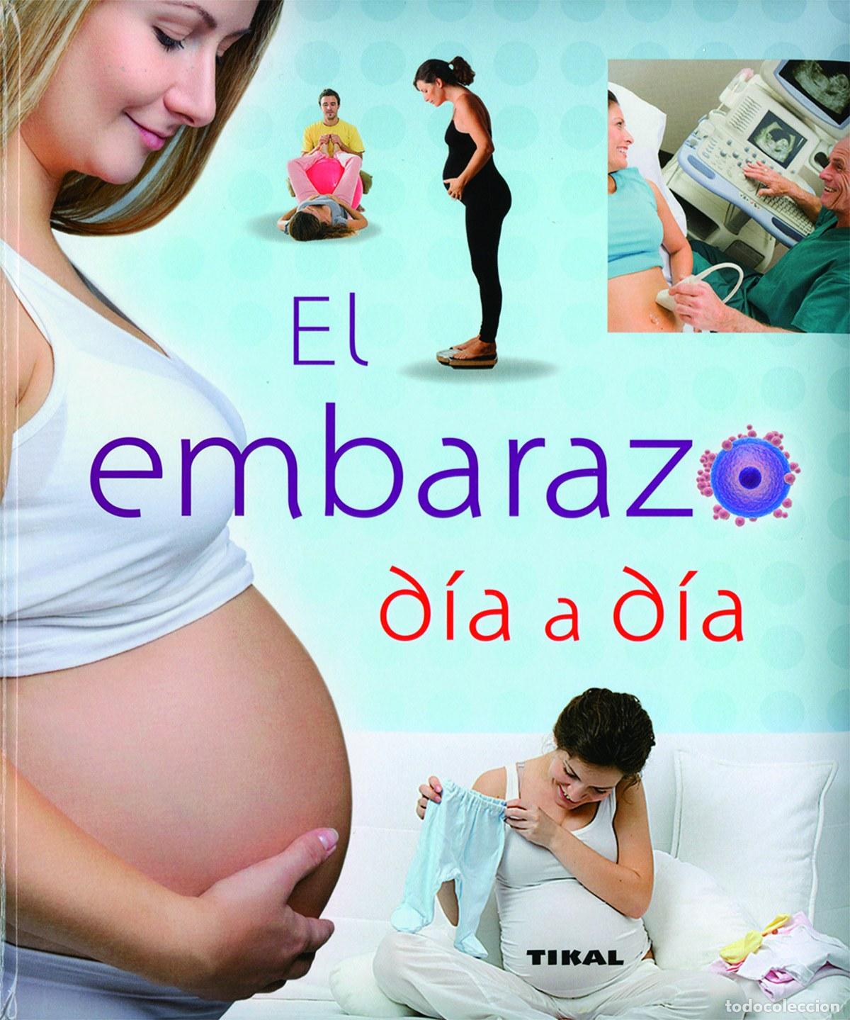Libros: EL EMBARAZO D&Iacute;A A D&Iacute;A - VV.AA. - Foto 1