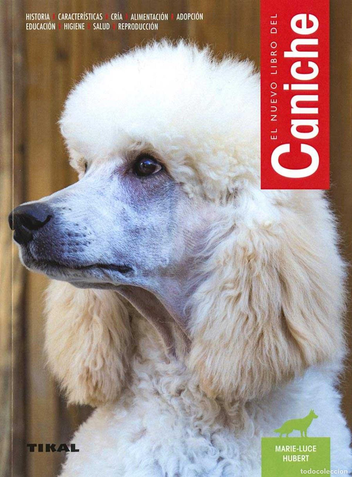 Libros: CANICHE - VV.AA. - Foto 1