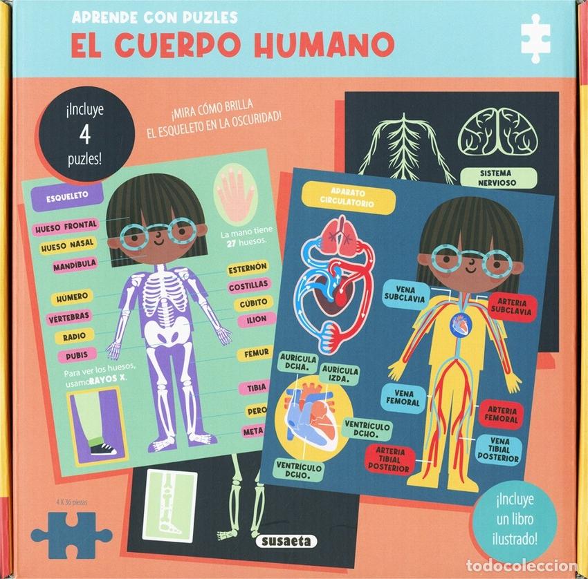 Libros: El cuerpo humano - Susaeta Ediciones - Foto 1