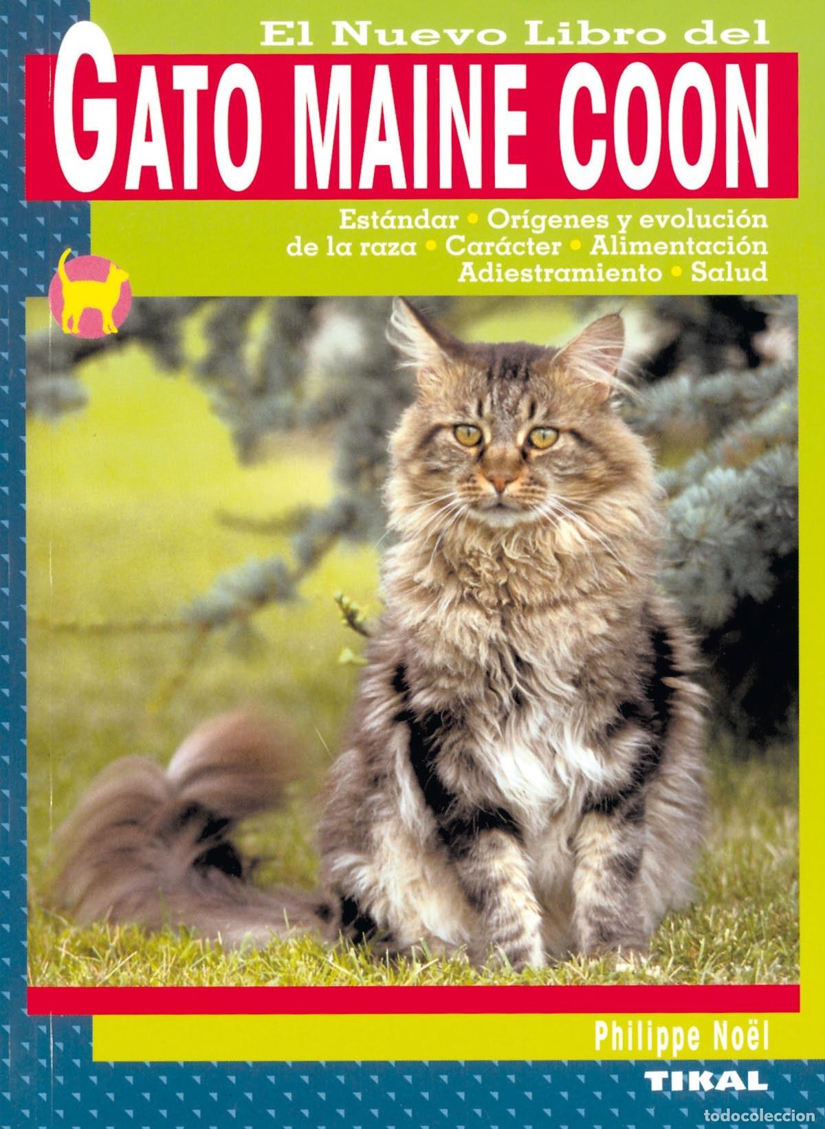 Libros: Gato Maine Coon - VV.AA. - Foto 1