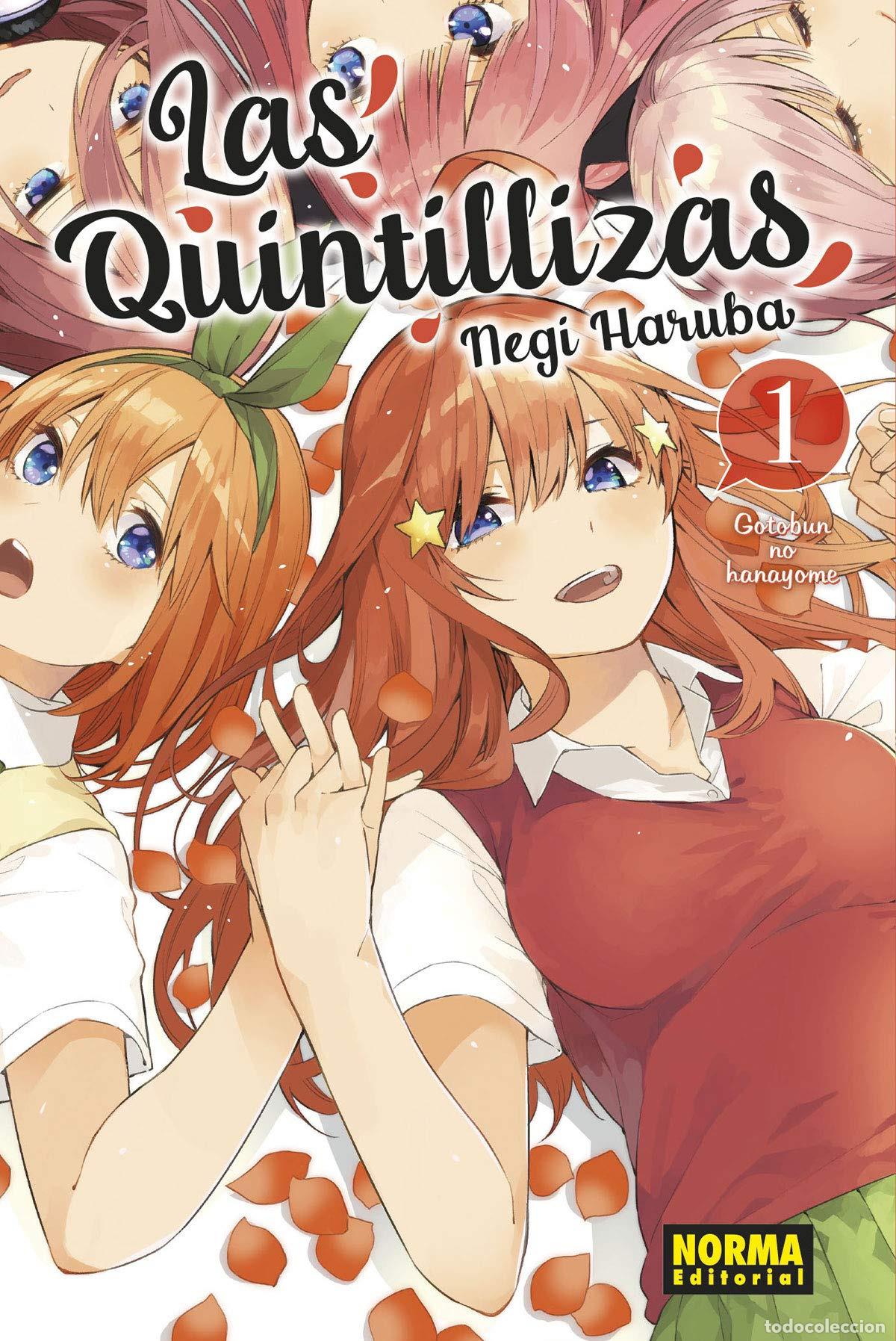 Libros: LAS QUINTILLIZAS 01 - NEGI HARUBA - Foto 1