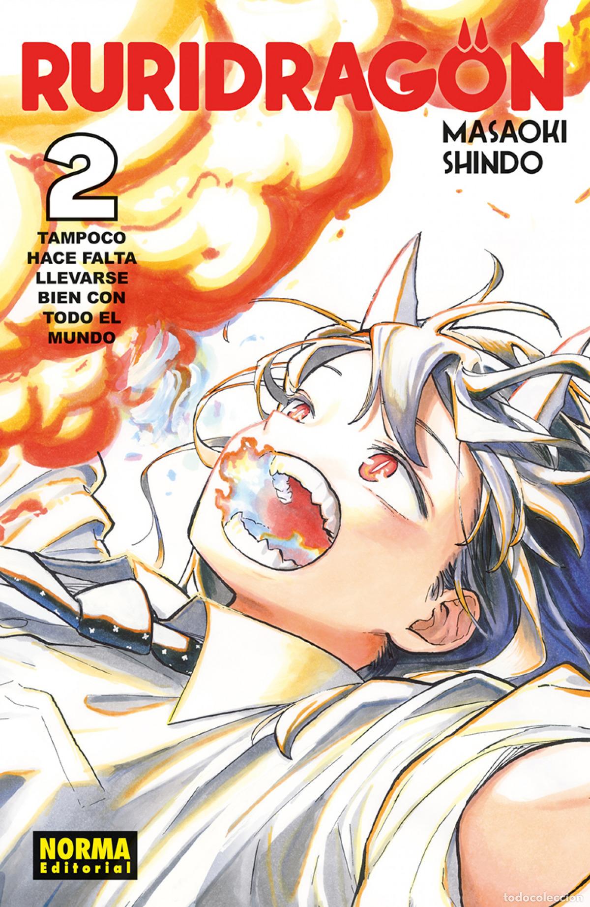 Libros: RURIDRAGON 02 - MASAOKI SHINDO - Foto 1