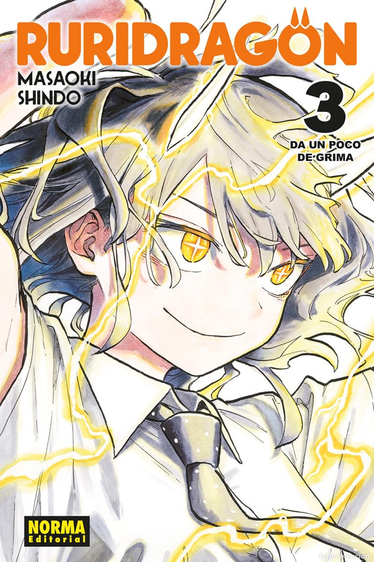 Libros: RURIDRAGON 03 - MASAOKI SHINDO - Foto 1