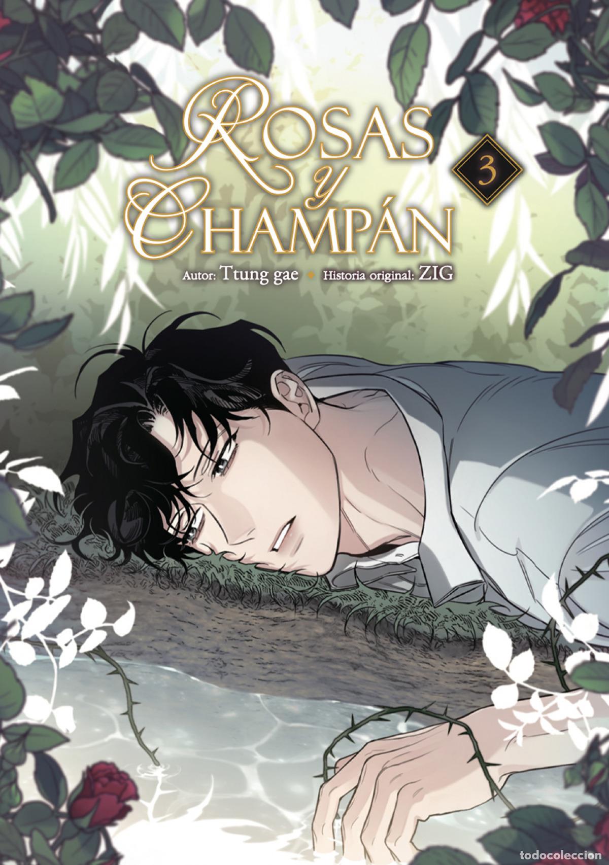 Libros: ROSAS Y CHAMPAN 03 - TTUNG GAE