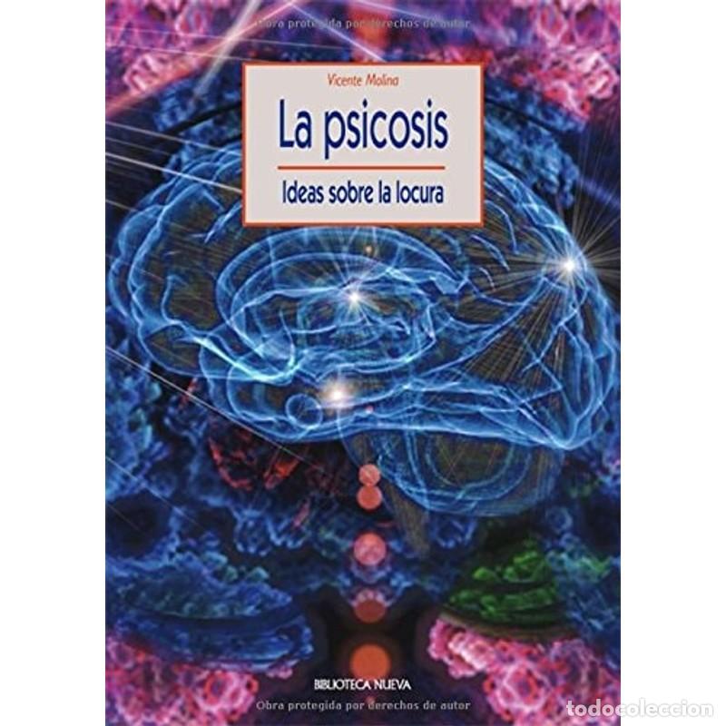 Libros: La psicosis Ideas sobre la locura - Vicente Molina Rodr&iacute;guez