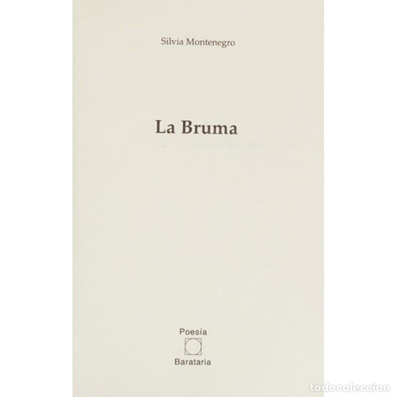Libros: La bruma - Silvia Montenegro - Silvia Montenegro - Foto 1