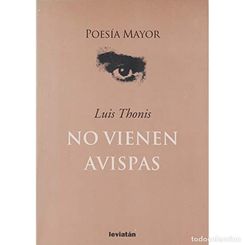 Libros: No vienen avispas - Luis Thonis - Foto 1