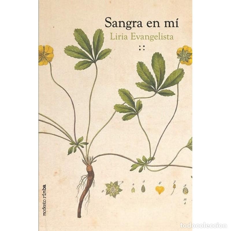 Libros: Sangra en m&iacute; - Liria Evangelista - Foto 1