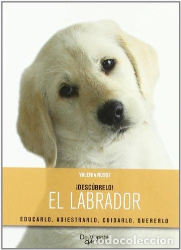 Libros: Labrador, El Descubrelo - Valeria Rossi - Foto 1