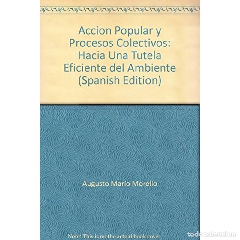 Libri di seconda mano: Acci&oacute;n popular y procesos colectivos hacia una tutela eficie - Augusto Mario Morello, Claudia Beatri