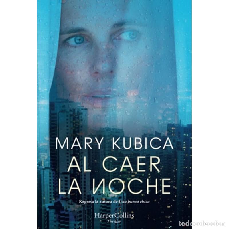 Libros: Al caer la noche - Mary Kubica - Foto 1