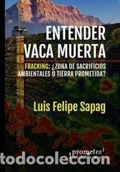 Libros: Entender Vaca Muerta fracking - Luis Felipe Sapag - Foto 1