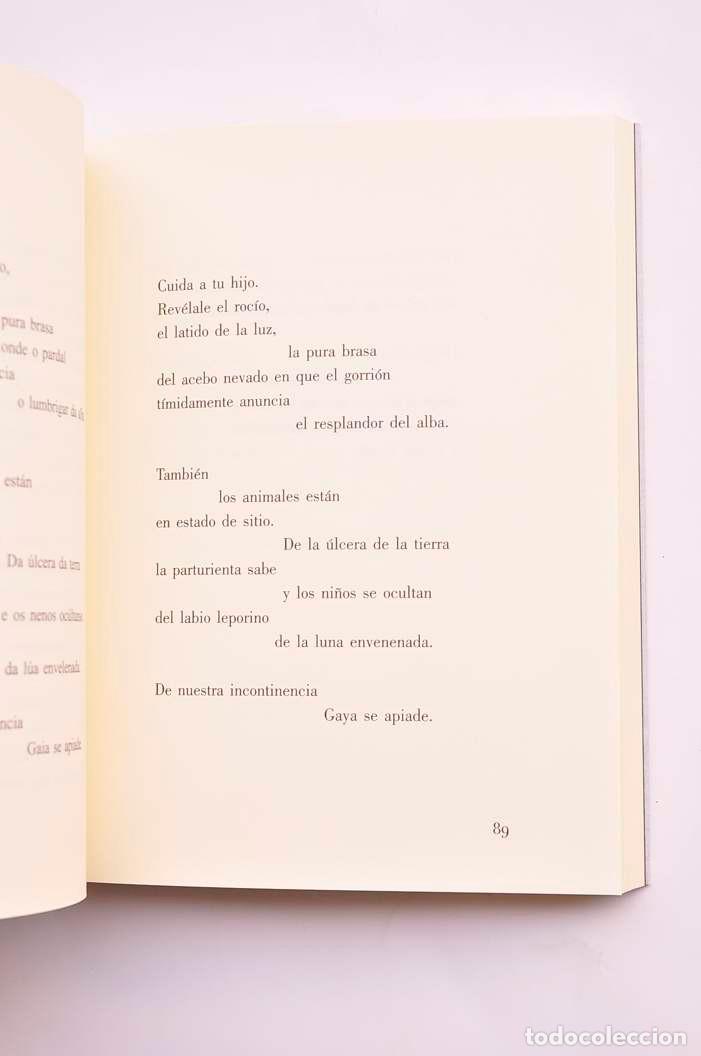 Libros: Thren&oacute;i - SEOANE, Xavier - Foto 3