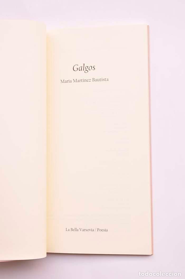 Libros: Galgos - MART&Iacute;NEZ BAUTISTA, Mar&iacute;a - Foto 2