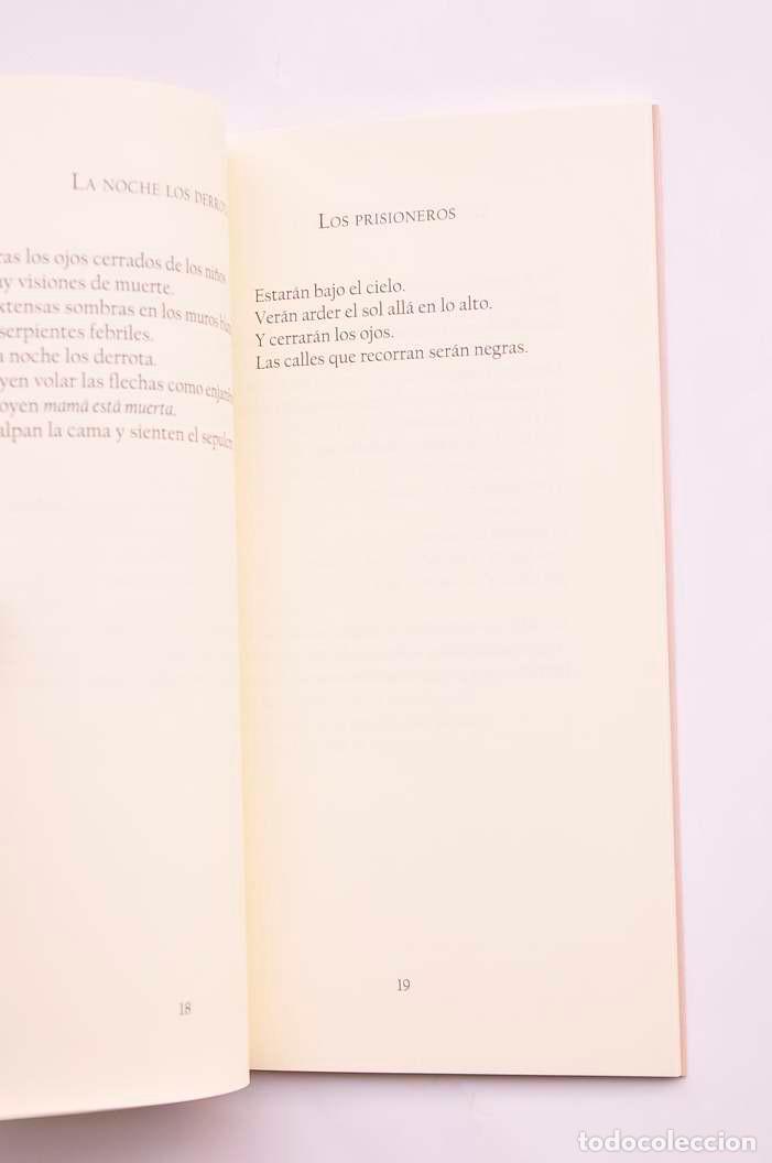 Libros: Galgos - MART&Iacute;NEZ BAUTISTA, Mar&iacute;a - Foto 3