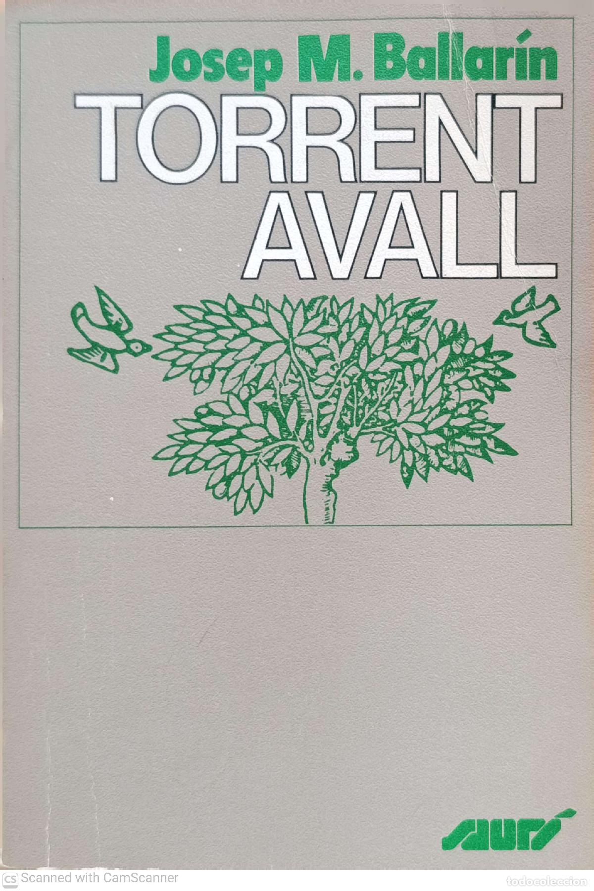 Libros: Torrent Avall - Josep M&ordf; Ballar&iacute;n - Foto 1