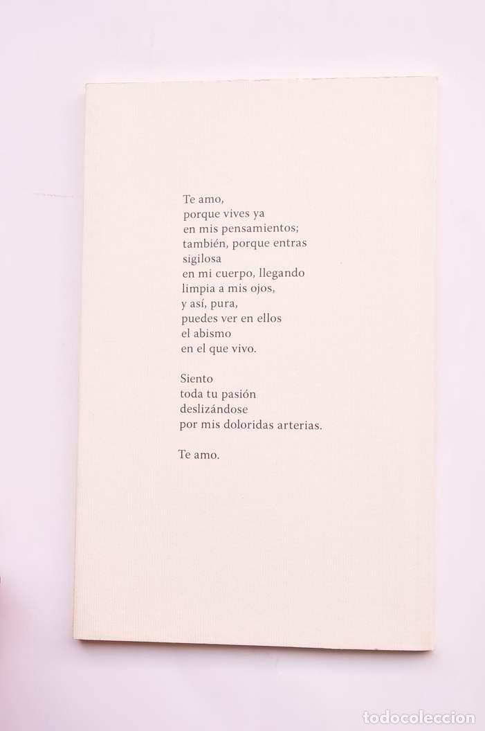 Libros: Poemas de amor - CANTABELLA, Jos&eacute; - Foto 4