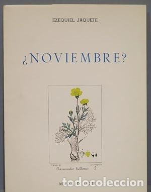 Libros: &iquest;NOVIEMBRE? - Ezequiel Jaquete. - Foto 1