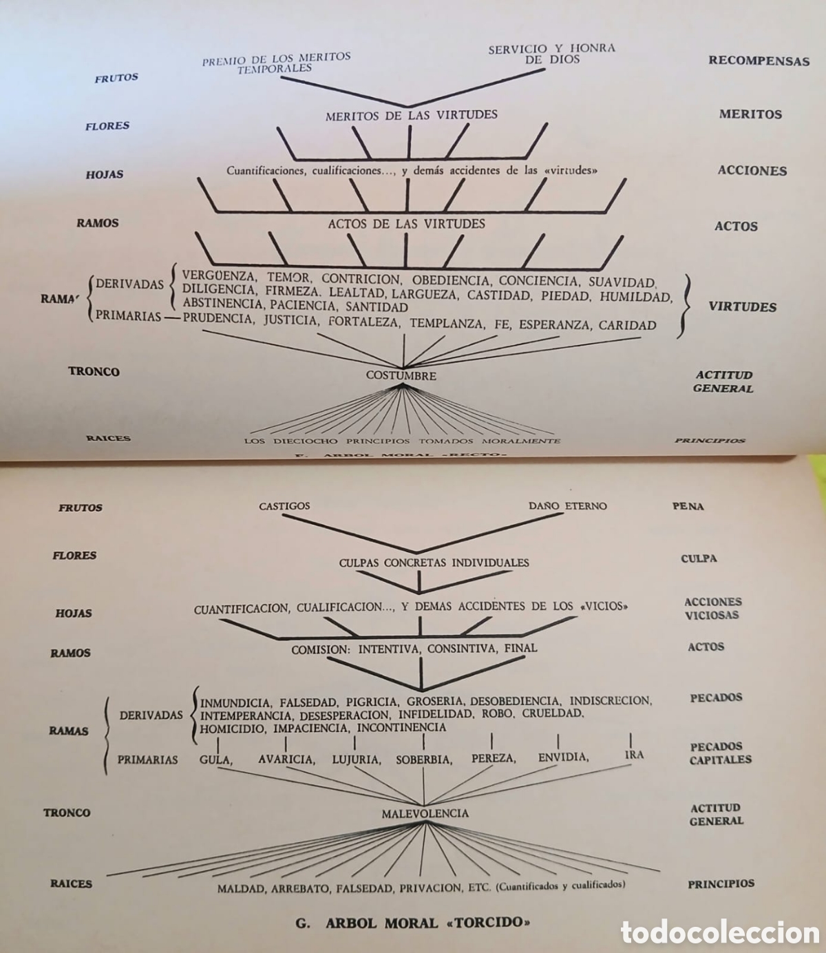 Libros: El Pensamiento de Ramon Llull - Foto 8