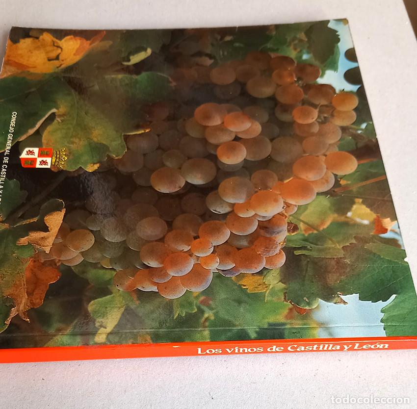 Libros: Los vinos de Castilla y Le&oacute;n. VV AA. Burgos, 1982 - Foto 2