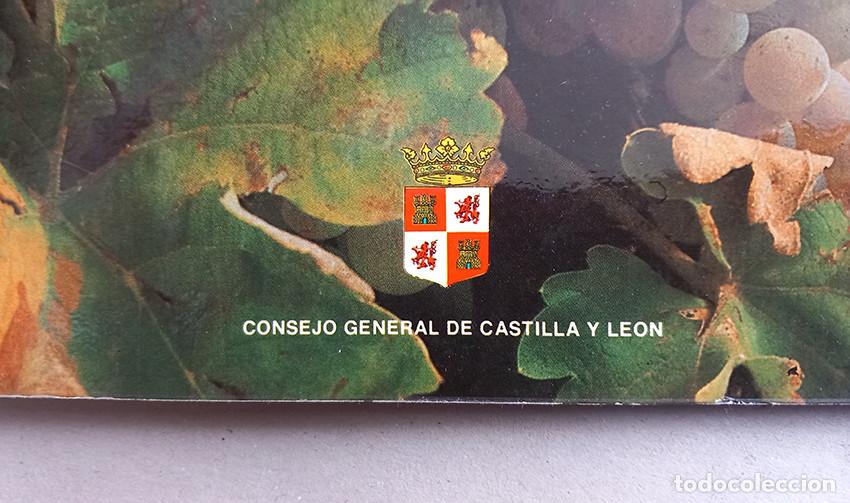 Libros: Los vinos de Castilla y Le&oacute;n. VV AA. Burgos, 1982 - Foto 5